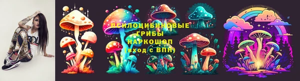 ГАЛЛЮЦИНОГЕННЫЕ ГРИБЫ Вязьма